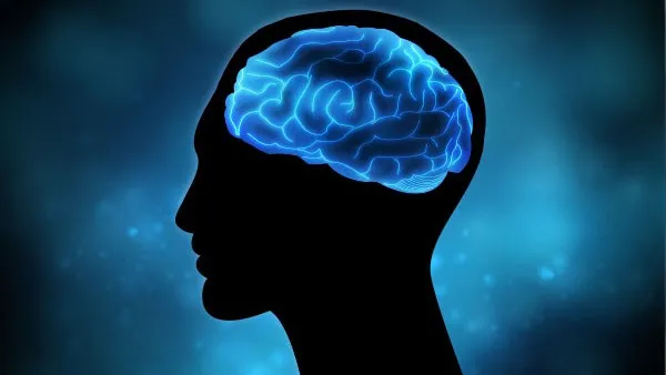 how mindsy uses ai to guide your journey